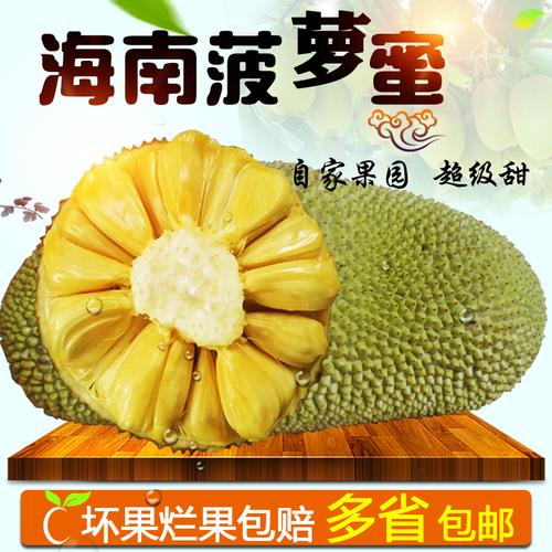 【低价销售】正宗海南水果特产新鲜菠萝蜜马来一号20斤包邮