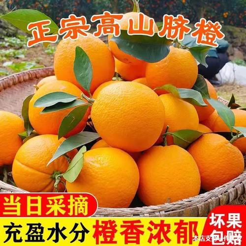 四川脐橙新鲜橙子当季水果大果手剥冰糖橘子甜橙奈佛里娜10斤